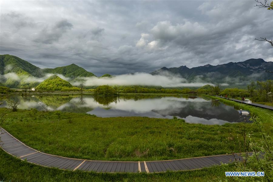 CHINA-HUBEI-SHENNONGJIA-SCENERY (CN)