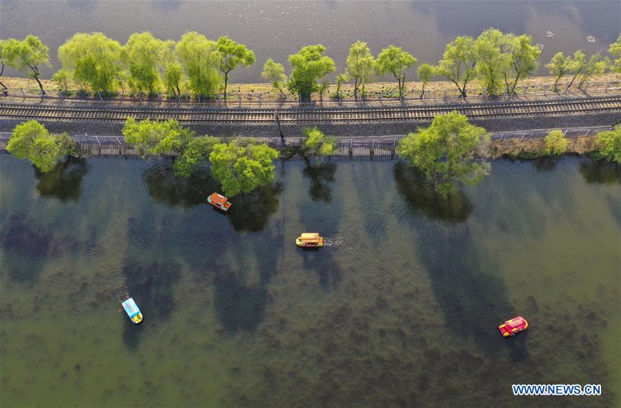 (EcoChina) CHINA-BEIJING-HORTICULTURAL EXPO-JILIN (CN)