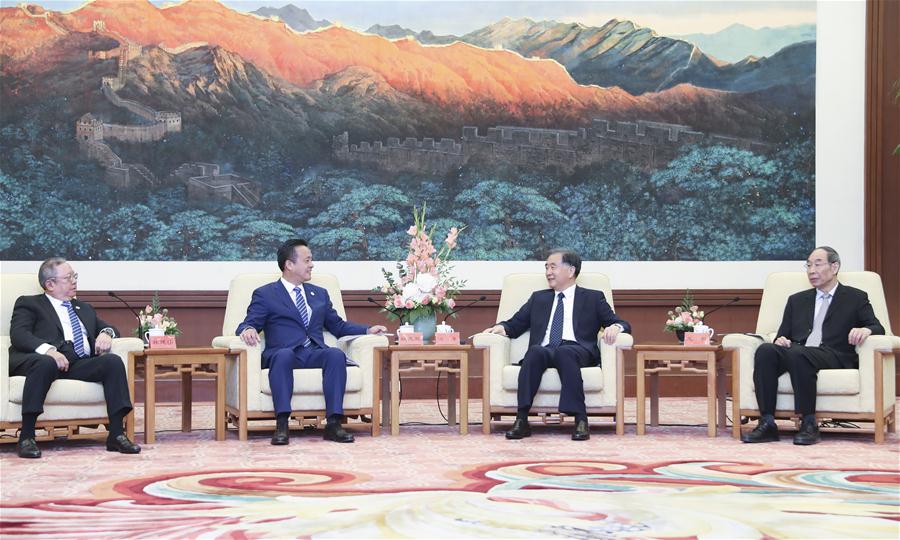 CHINA-BEIJING-WANG YANG-HONG KONG-DELEGATION-MEETING (CN)