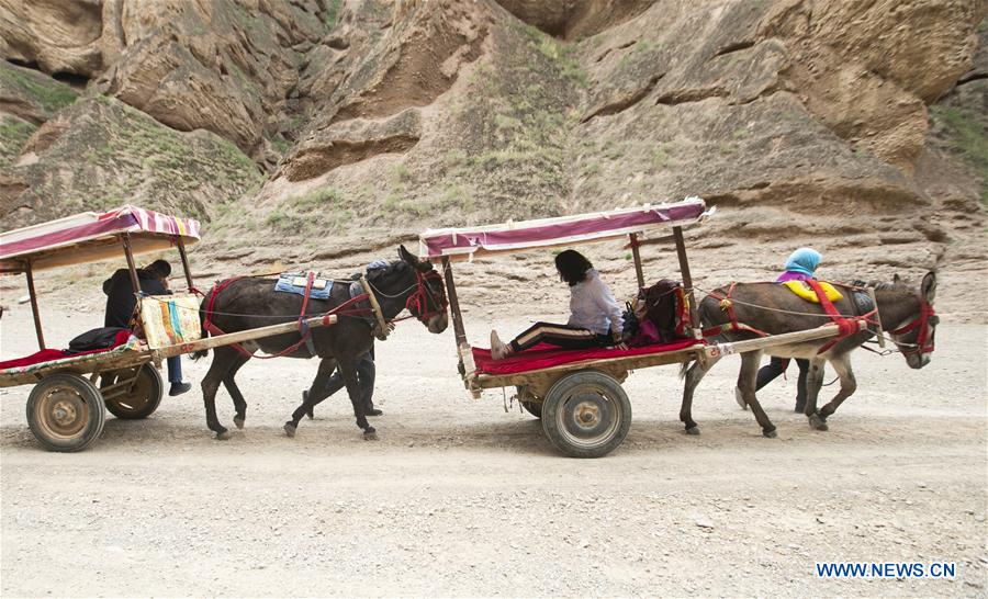 CHINA-GANSU-JINGTAI-DONKEY RIDE-BUSINESS (CN)