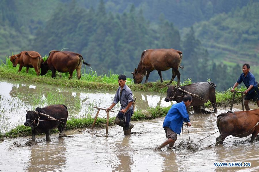 CHINA-GUANGXI-RONGSHUI-POVERTY ALLEVIATION (CN)