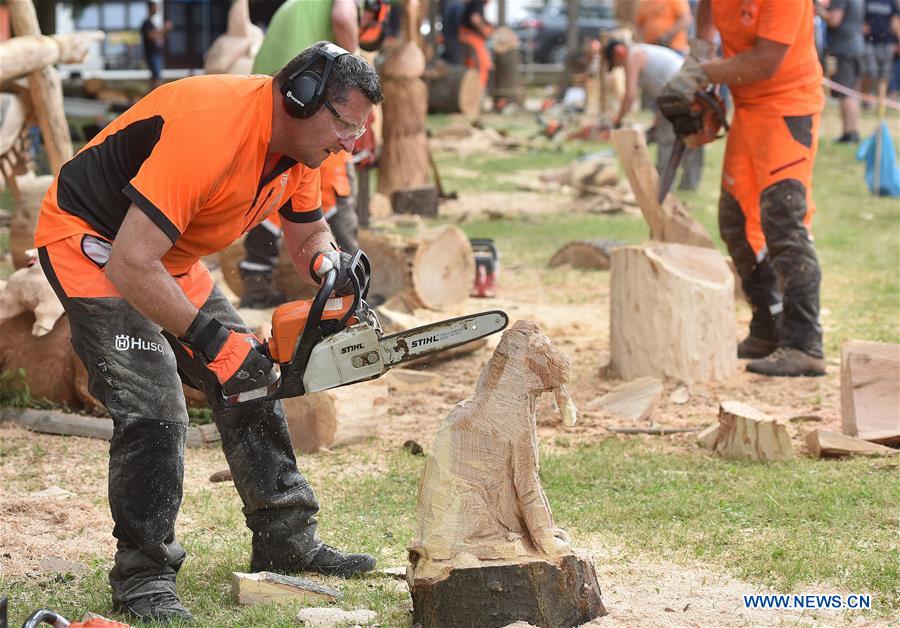 CROATIA-SALINOVEC-CHAINSAW CARVING FESTIVAL