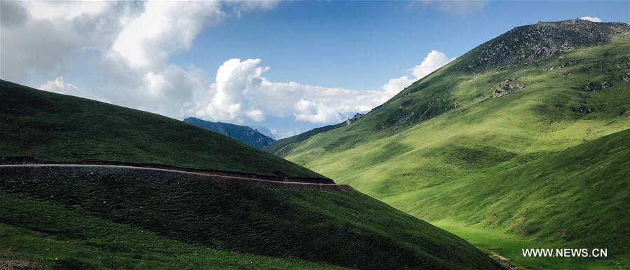 CHINA-QINGHAI-QILIAN-SCENERY (CN)