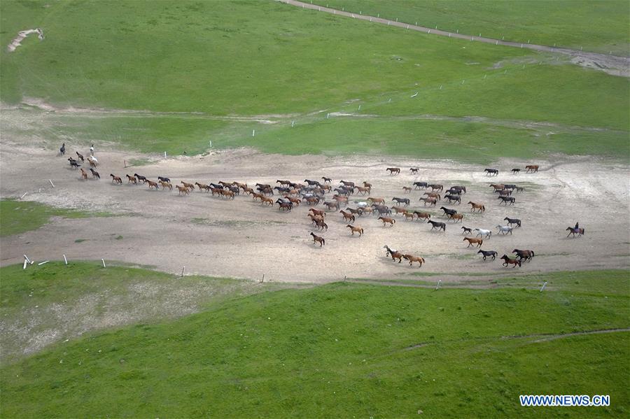 CHINA-GANSU-HORSE RANCH (CN)