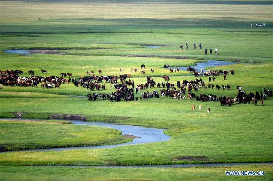 XINHUA PHOTOS OF THE DAY