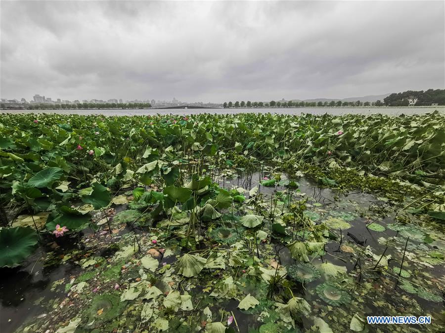 CHINA-ZHEJIANG-TYPHOON LEKIMA (CN)