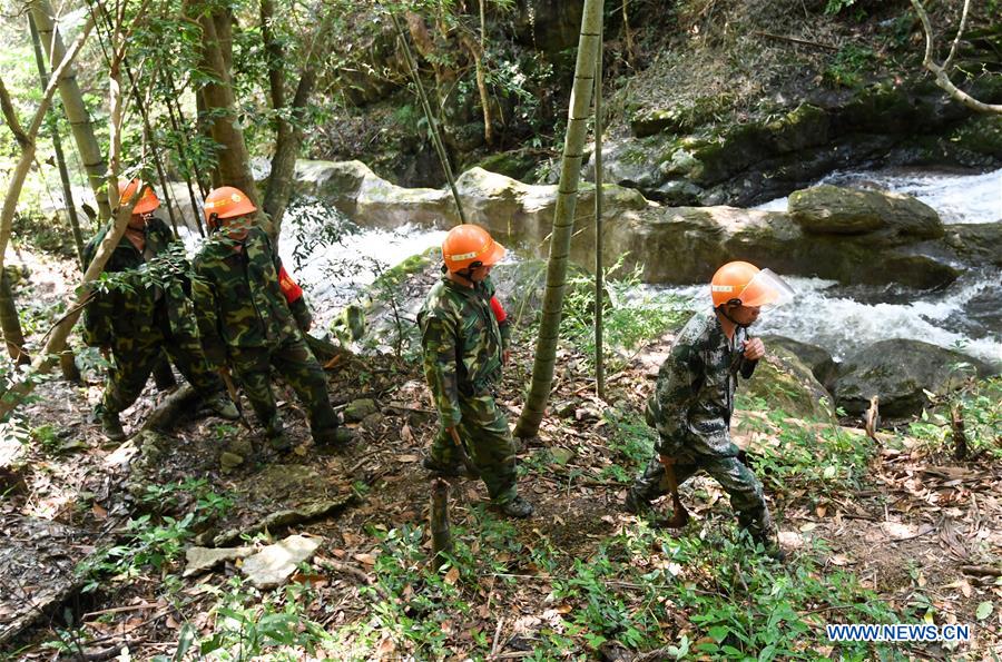 CHINA-JIANGXI-FOREST RANGER (CN)