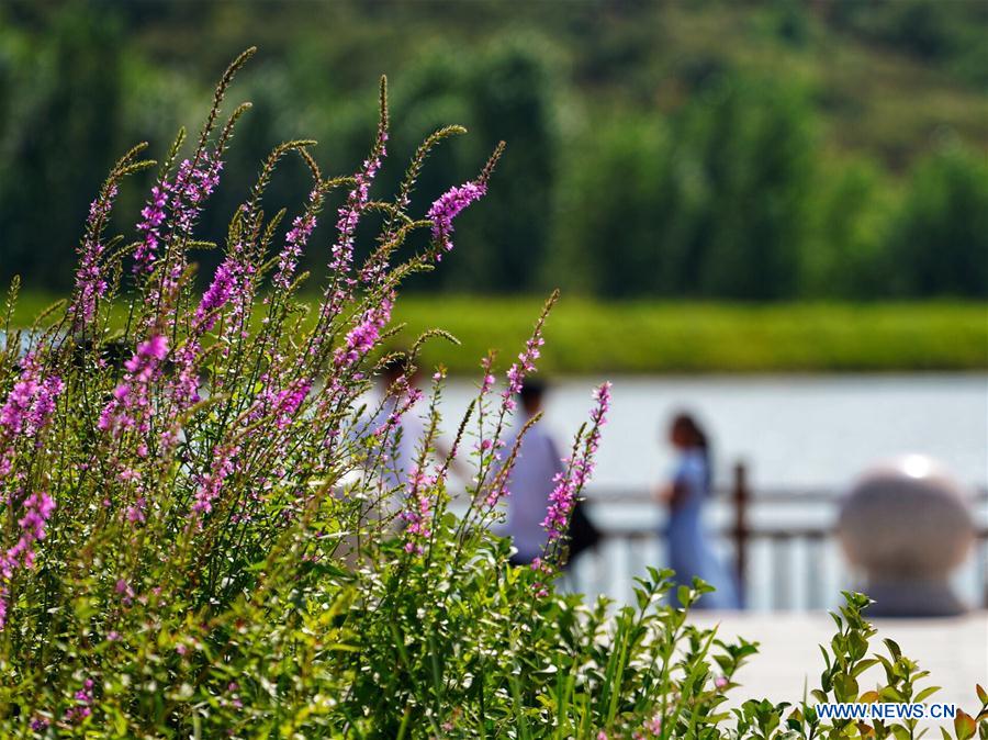 CHINA-HEBEI-ENVIRONMENT IMPROVEMENT-TOURISM (CN)