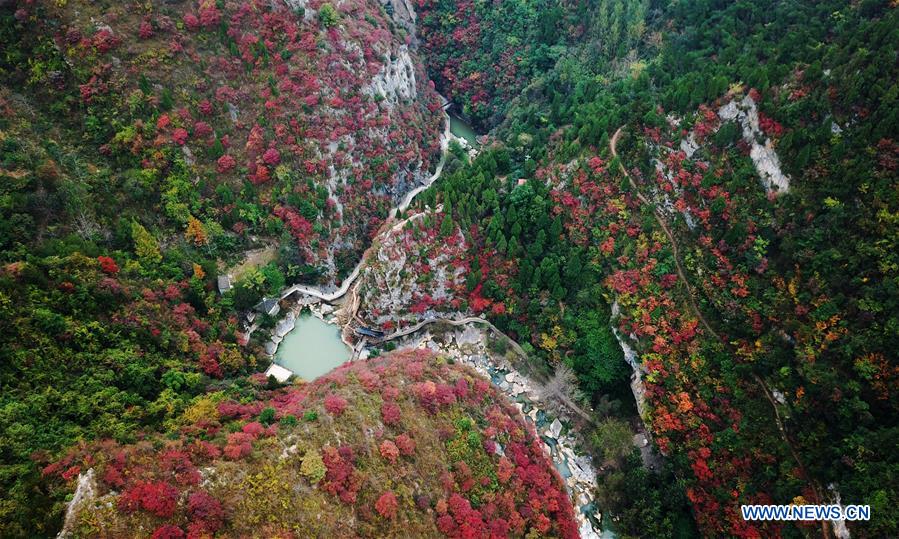 (EcoChina)CHINA-HORTICULTURAL EXPO-GANSU (CN)