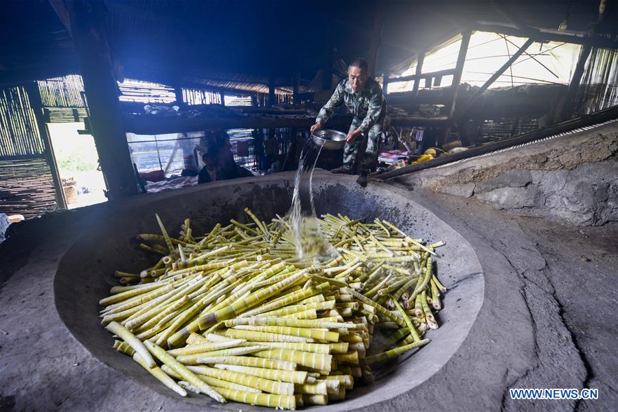 CHINA-CHONGQING-NANCHUAN-BAMBOO SHOOTS-COLLECTOR (CN)