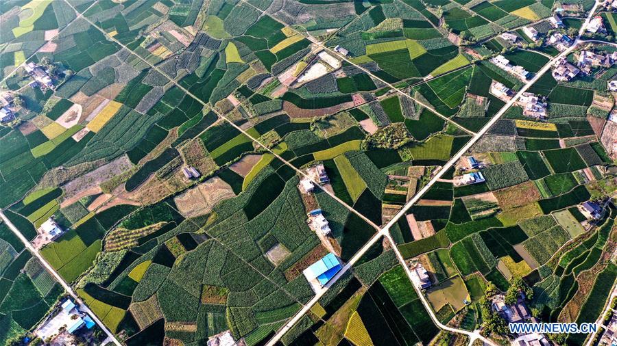 CHINA-GUANGXI-AUTUMN-AERIAL VIEW (CN)