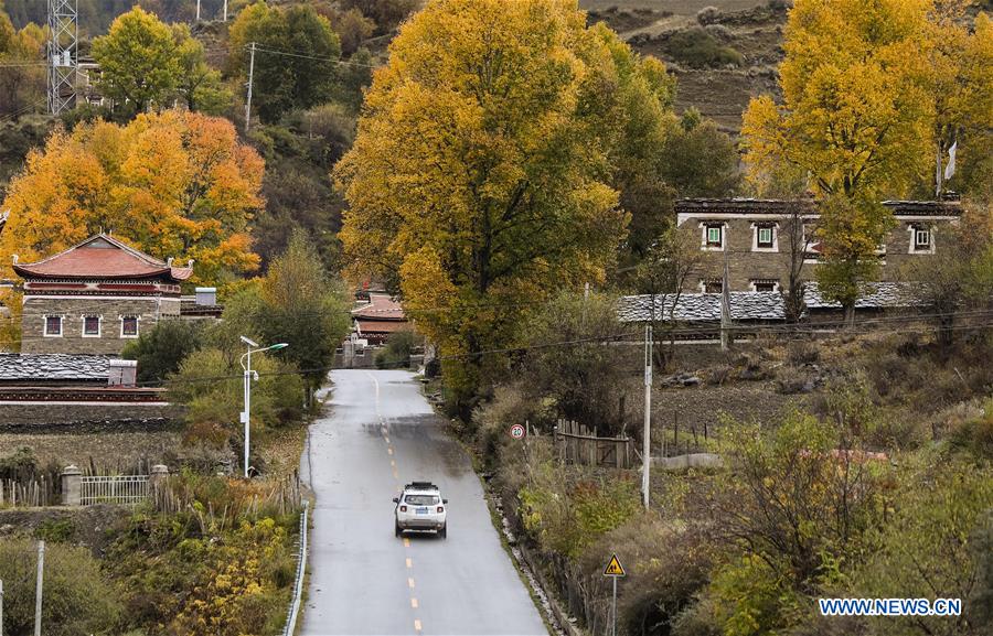 CHINA-SICHUAN-KANGDING-AUTUMN SCENERY (CN)