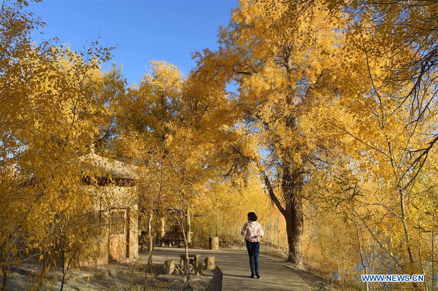 CHINA-JIUQUAN-AUTUMN SCENERY (CN)