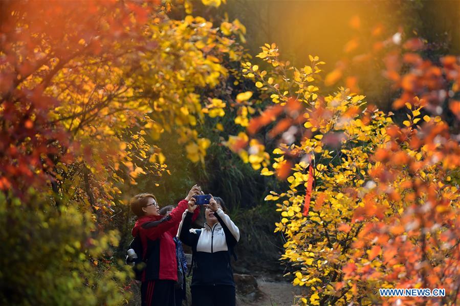 CHINA-HEBEI-JINGXING-XIANTAI MOUNTAIN-SCENERY (CN)