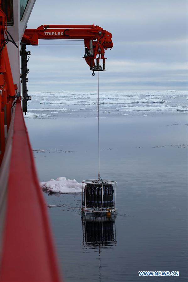 (EyesonSci)CHINA-XUELONG 2-ANTARCTIC EXPEDITION-PENGUINS