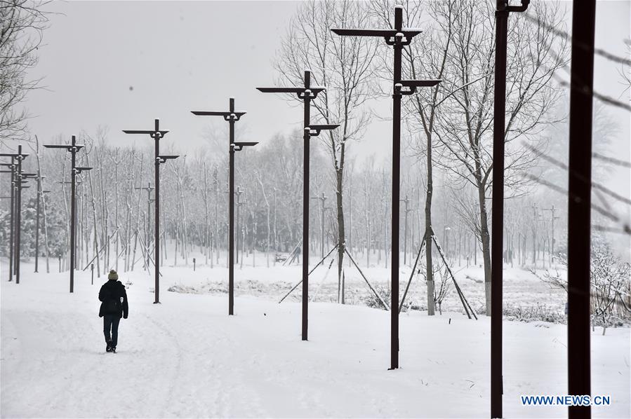 CHINA-BEIJING-SNOW SCENERY (CN)