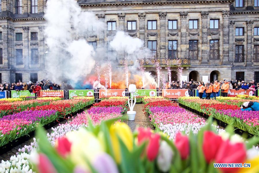 THE NETHERLANDS-AMSTERDAM-NATIONAL TULIP DAY