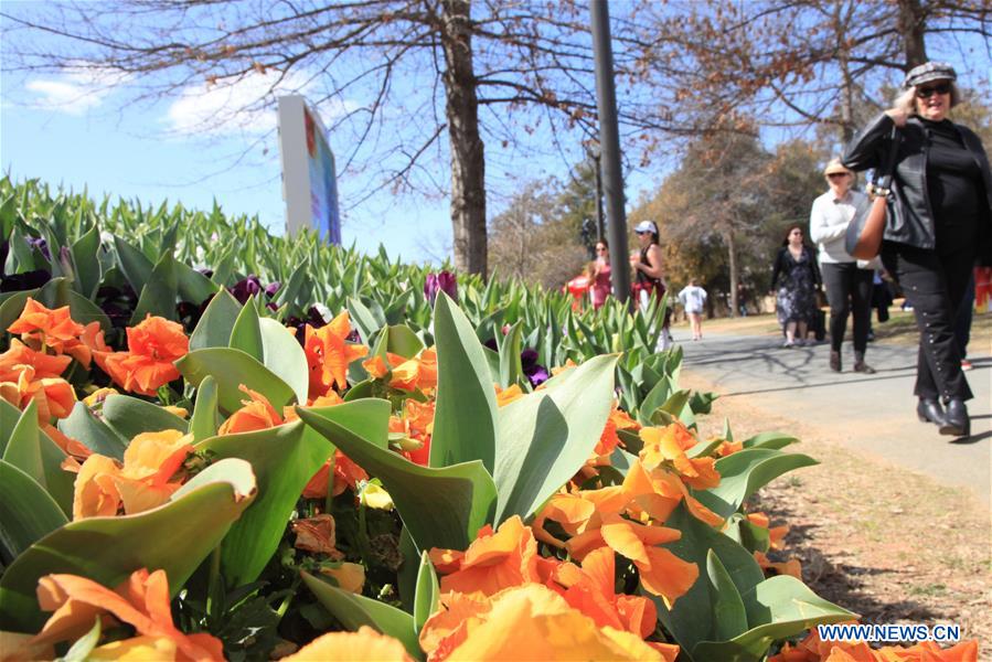 AUSTRALIA-CANBERRA-FLOWER FESTIVAL 