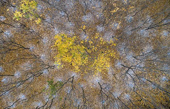 Winter scenery at Liushuwan scenic spot in Huai'an, China's Jiangsu