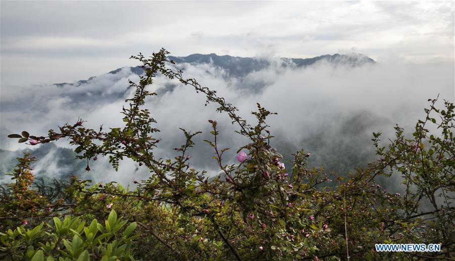 CHINA-SHAANXI-HANZHONG-SCENERY (CN)