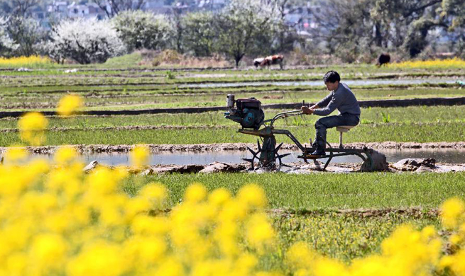 In pics: farming during early spring across China