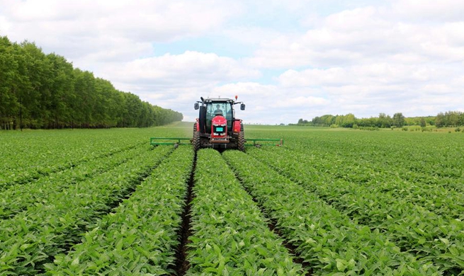 In pics: summer farm work across China