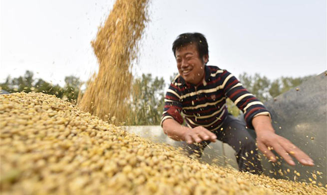 Family farms help increase income for local villagers in China's Shandong