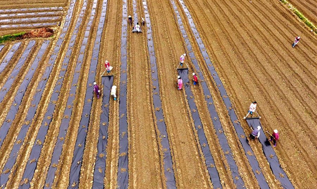 People across China begin to engage in farming in early spring