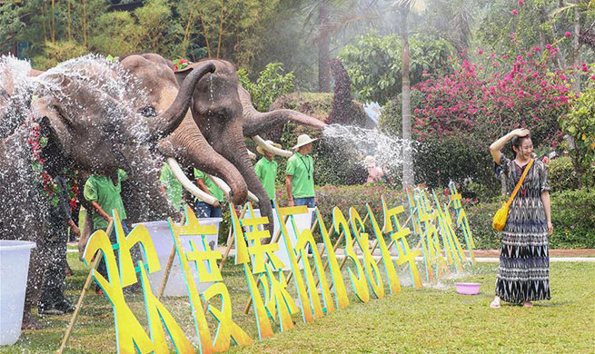 Traditional water-sprinkling festival marked in Yunnan, SW China