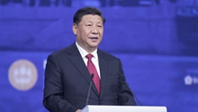 Spotlight: Xi highlights sustainable development as "golden key" to solving global problems