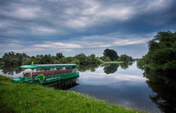 View of Kopacki Rit Nature Park in Croatia