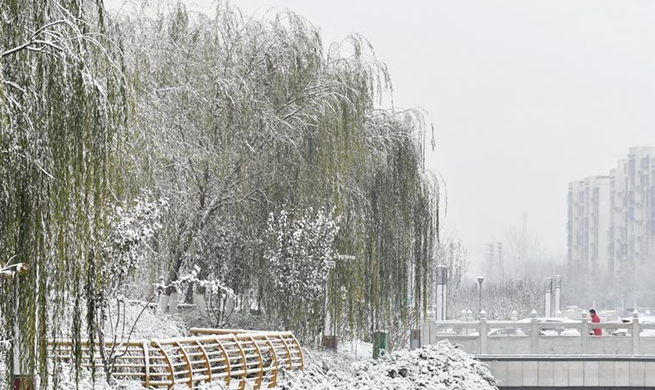 Snow falls in Beijing