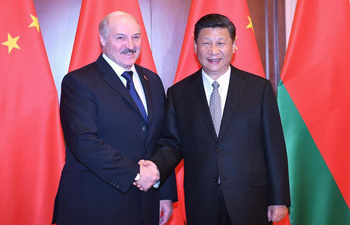 Belarus an important partner in Belt and Road: Xi