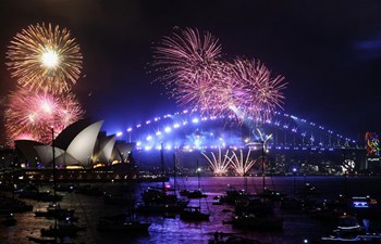 Fireworks explode over Sydney Harbour on New Year's Eve