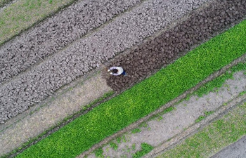 In pics: farming during early spring across China