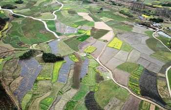 Spring scenery in south China's Guangxi