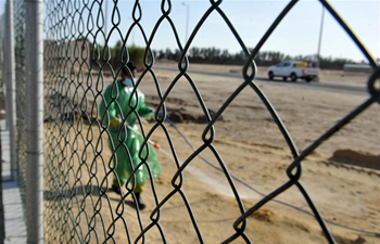 Swarms of locusts cause heavy material losses to many farms in Kuwait