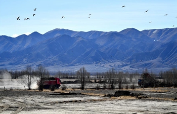 Local gov't promotes construction of high-standard farmland in Tibet