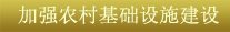 關(guān)鍵字4：加強農(nóng)村基礎設施建設