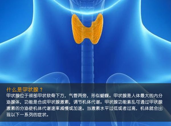 關注甲狀腺健康，你應該知道的那些事