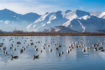 布宮雪景