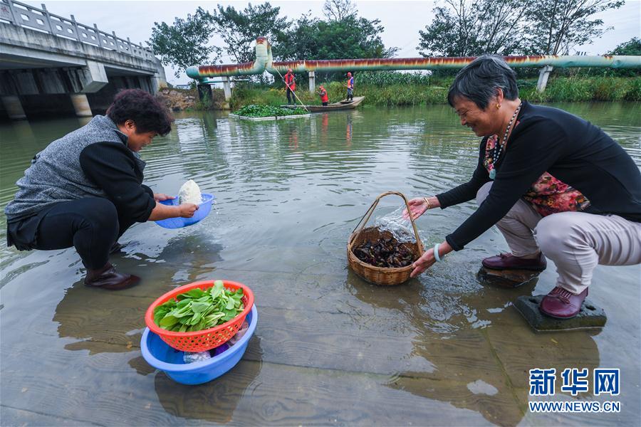 （砥礪奮進的五年·長江經濟帶）（1）江南水鄉(xiāng)“河長制” 共護鄉(xiāng)村一池清水