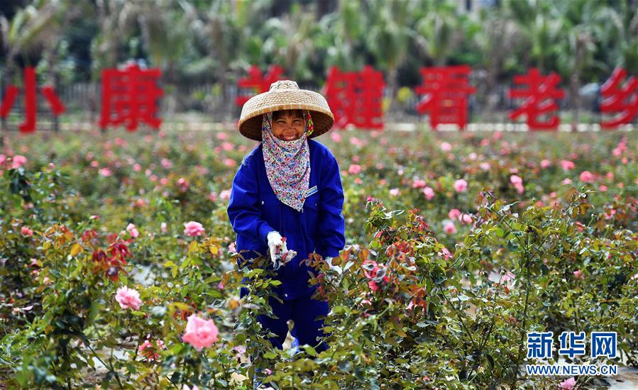 （新華全媒頭條·潮起海之南·圖文互動）（1）在偉大復(fù)興新征程上揚(yáng)帆遠(yuǎn)航——從海南建省辦特區(qū)看中國改革開放40年