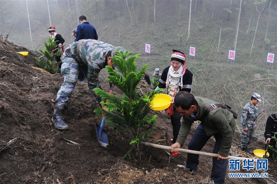 （圖文互動）（6）和平年代，離死神最近的人——南部戰(zhàn)區(qū)陸軍云南掃雷大隊邊境掃雷排爆記事