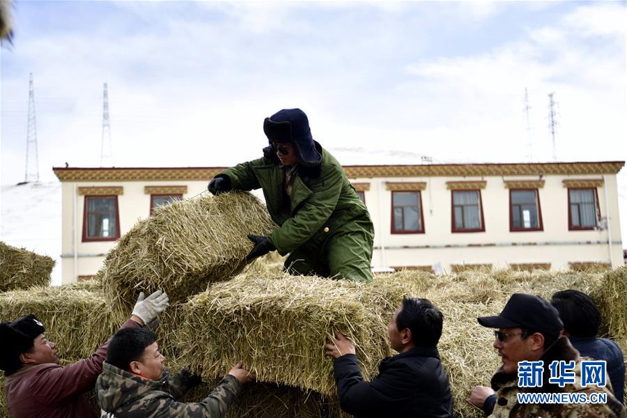 （新華全媒頭條·圖文互動）（5）風雪中傳遞溫暖的力量——記青海干部群眾抗擊玉樹雪災