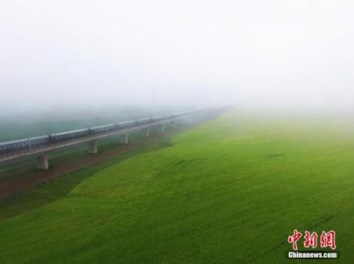 資料圖：動車組穿越雨霧中的油菜花海宛若穿越時空。 楊艷敏 攝