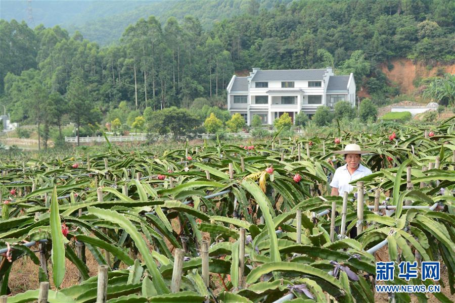 （在習(xí)近平新時(shí)代中國(guó)特色社會(huì)主義思想指引下——新時(shí)代新作為新篇章·總書記關(guān)心的百姓身邊事·圖文互動(dòng)）（6）大污染變身“大寶藏”：治理畜禽糞污，他們這樣干！