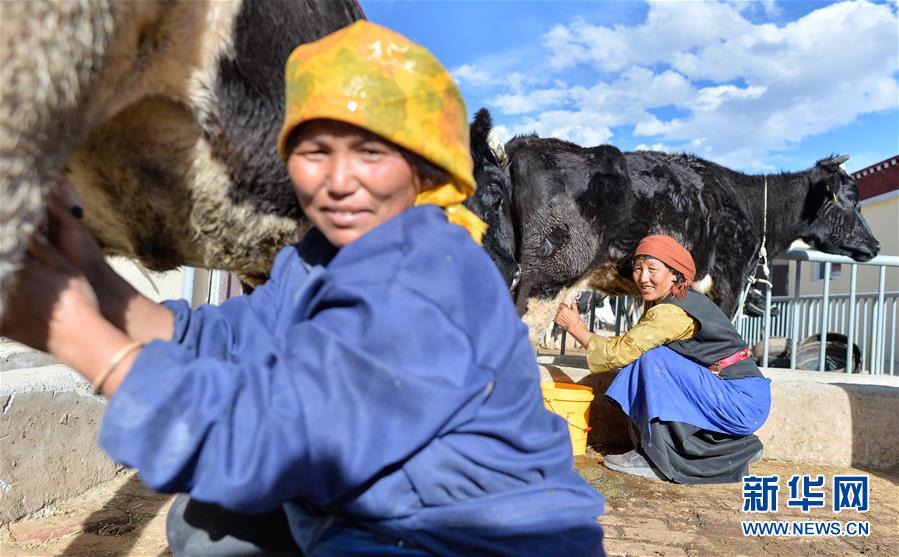 （新華全媒頭條·決戰(zhàn)決勝脫貧攻堅(jiān)·圖文互動）（3）歷史的決戰(zhàn)　偉大的創(chuàng)舉——“世界屋脊”上的反貧困奇跡 