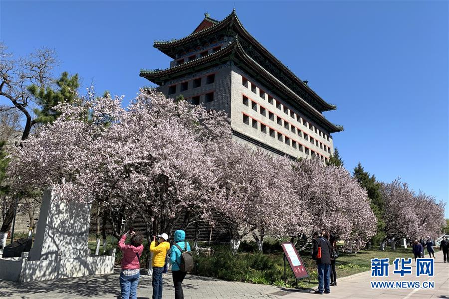 （新華全媒頭條·圖文互動）（5）永遠的夢想 永恒的追求——寫在北京世園會開幕一周年之際