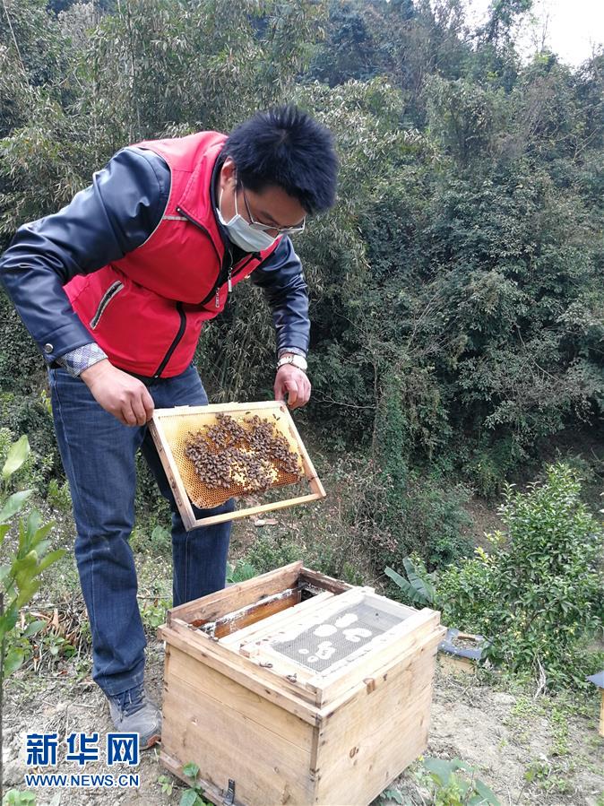 （在習近平新時代中國特色社會主義思想指引下——新時代新作為新篇章·習近平總書記關(guān)切事·圖文互動）（4）錘煉意志　輕裝上陣——黨員干部在一線磨礪閃光故事